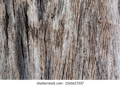 Bark Of Cedar Tree Texture Background,dry Tree Texture,Texture Of Wood 