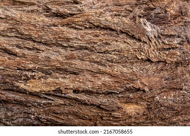 Bark Of Cedar Tree Texture Background,dry Tree Texture,Texture Of Wood 