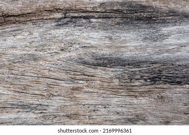 Bark Of Cedar Tree Texture Background,dry Tree Texture,Texture Of Wood 