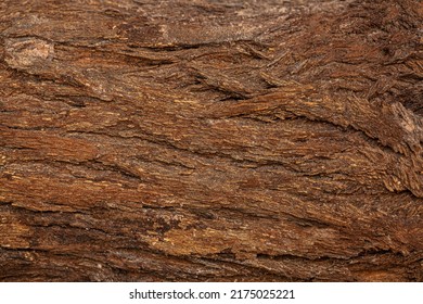 Bark Of Cedar Tree Texture Background,dry Tree Texture,Texture Of Wood 