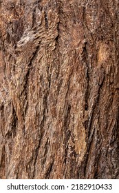 Bark Of Cedar Tree Texture Background,dry Tree Texture,Texture Of Wood 