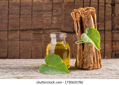 bark and essential extract of medicinal plant cat's claw, uncaria tomentosa