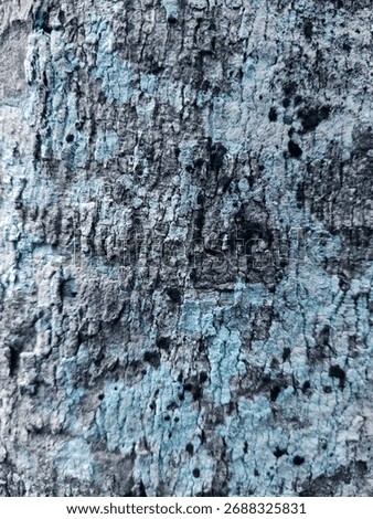 Bark pattern background, extraordinary nature
