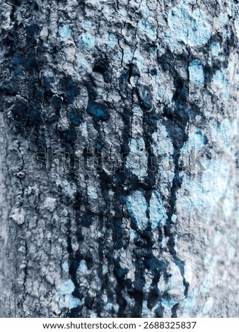 Bark pattern background, extraordinary nature