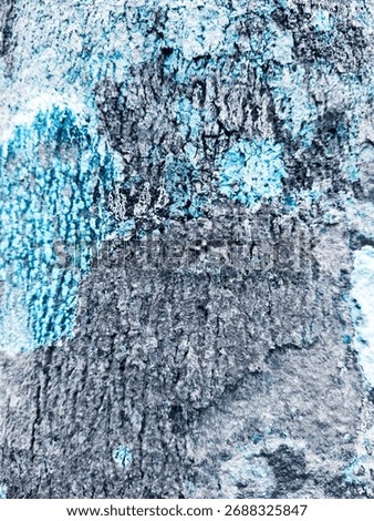 Bark pattern background, extraordinary nature