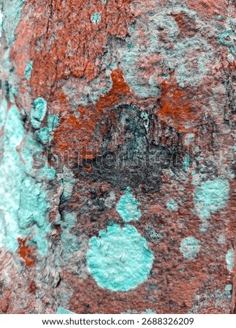 Bark pattern background, extraordinary nature.