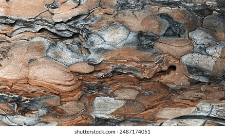 Bark pattern is seamless texture from tree. For background wood work, Bark of brown hardwood, thick bark hardwood, residential house wood. nature, trunk, tree, bark, hardwood, trunk, tree, trunk
