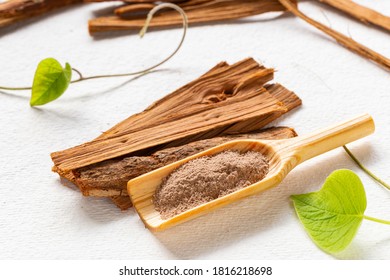 bark and powder of licorice medicinal plant, on white background - Uncaria tomentosa