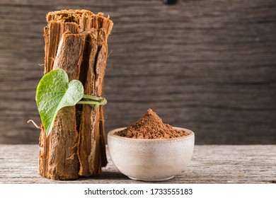 bark and powder of medicinal plant cat's claw, uncaria tomentosa