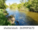 
The Bark River in Waukesha County, Wisconsin, flows through a vibrant green landscape in May, with trees reflected in its clear waters.