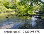 The Bark River in Waukesha County, Wisconsin, flows over rocks with sunlit foliage and a fallen tree branch in May.