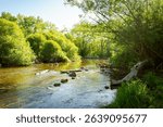 
The Bark River in Waukesha County, Wisconsin, flows through a vibrant green landscape in May, with trees reflected in its clear waters.