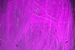 The Bark Of The Tree Is Painted Purple. Abstract Background. The Texture.