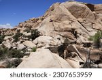 Barker Dam, also known as the Big Horn Dam, is a dam with water-storage reservoir located in Joshua Tree National Park in California. The dam was constructed by early cattlemen.