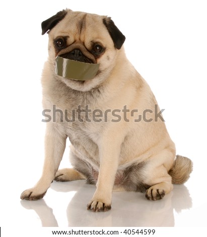 Similar – Image, Stock Photo Talk is silver, silence is gold