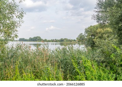 Barlewickie Lake At Summer Time. Ribbon Lake In Sztum, Poland.