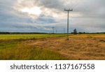 Barley field landscape with  grey clouds Ylivieska, Finland 
