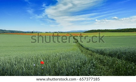 Similar – Old windmill at sunset. Spring Moravian rolling hills