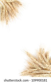 Barley Frame Isolated On White Background Stock Photo 109900181 ...