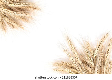 Barley Frame Isolated On White Background Stock Photo (Edit Now) 111868307