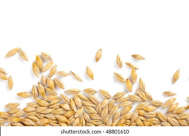 169,191 Barley seed Stock Photos, Images & Photography | Shutterstock