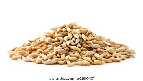 Barley grain heap close-up on a white. Isolated - Shutterstock ID 1682807407