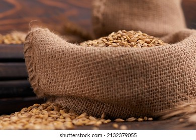 Barley Grain On The Wooden Background