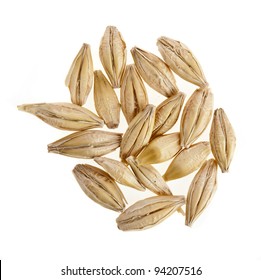 Barley Grain Seed Close Up Isolated On White Background