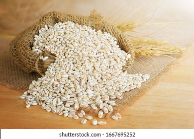 Barley grain in wooden background Barley grain is raw material - Shutterstock ID 1667695252