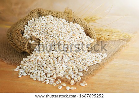 Barley grain in wooden background Barley grain is raw material