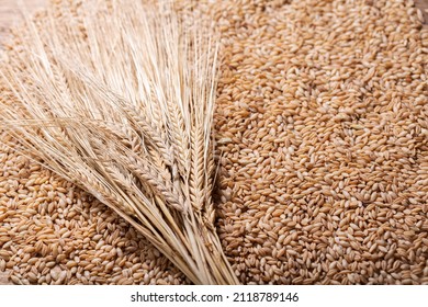barley grains as background, top view - Shutterstock ID 2118789146