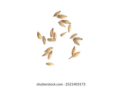 barley grains on a white background - Powered by Shutterstock