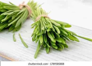 Barley Grass Blades On A White Background