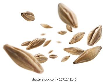 Barley malt grains levitate on a white background - Shutterstock ID 1871141140