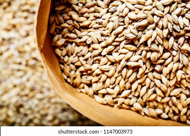 Barley Malt - Pale Ale, Used For The Production Of Craft And Home Beer.