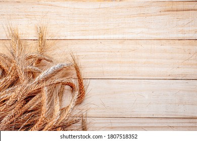 Barley Malt. Whole, Barley, Harvest Wheat Sprouts. Wheat Grain Ear Or Rye Spike Plant Isolated On Brown Wood Plank Background, For Cereal Bread Flour. Top View.