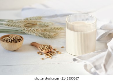 Barley Milk In A Glass, Grain In A Bowl And Barley Spikes On Wooden Rustic Table. Morning Natural Light. Protein Drink, Vegan Milk Substitution.