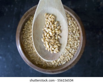 Barley On Dark Rustic Background Overhead Shot