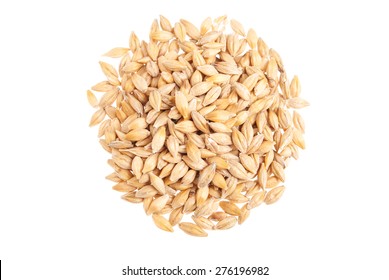 Barley Seeds