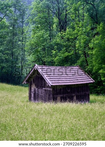 Barn in the Apls meadow                               