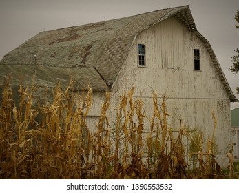 Barn with corn 