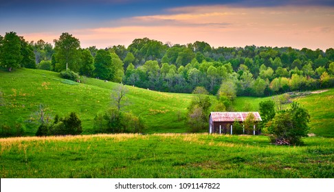 Barn With Cows Grazing On Hillside