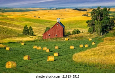 Barn in a farmland field. Hay on farmland near barn