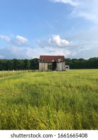 Barn in a field of grass