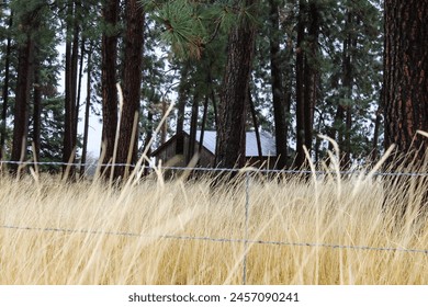 barn in field of trees