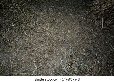 Barn Floor Covered With Hay Backdrop. 