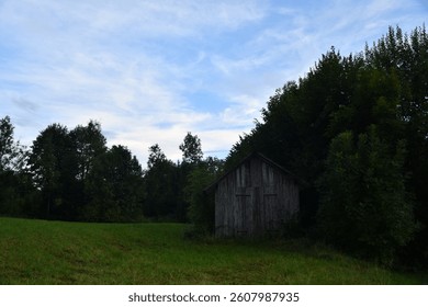 A barn in the forest