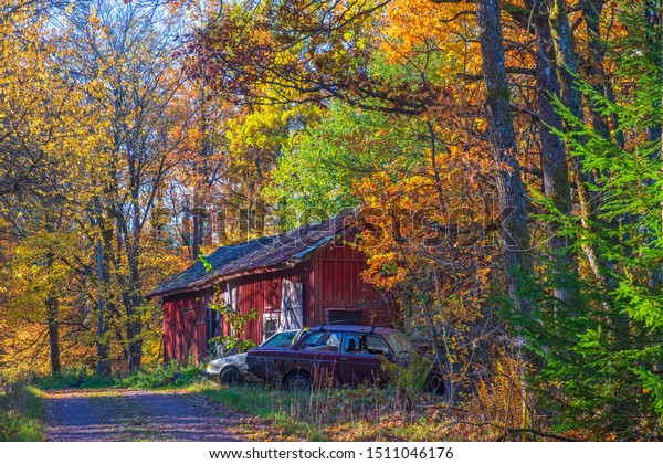 Barn Forest Autumn Old Cars Stock Photo Edit Now