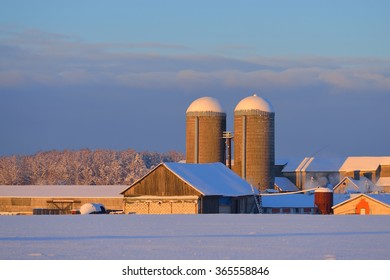 Barn and grain elevators on a sunny winter day standing on a snowcovered field