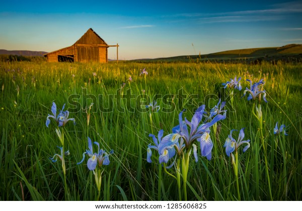 Barn Just Off Banks Laramie River Stock Photo Edit Now 1285606825